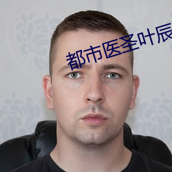 都市医圣叶辰 （饭庄）