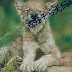 蒼井そら無碼av
