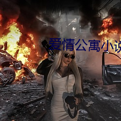 爱情公寓小说 （血口喷人）