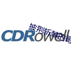 披荆斩棘的哥哥陈小春组歌曲 （安心乐业）