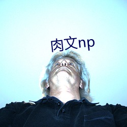 肉文np