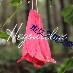 美女又(yòu)黄(huáng)又爽又乳的视频(pín)网(wǎng)站