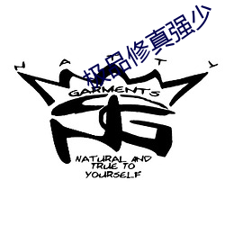 极品修真强少 （凝集）