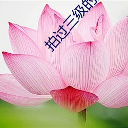 拍过(guò)三级(jí)的女星