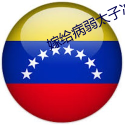 嫁(嫁)给(給)病弱太子冲(沖)喜(喜)后