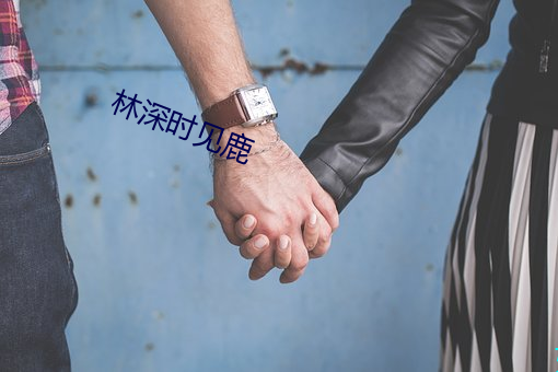 林深时见鹿