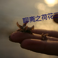 聊齋之荷花三姐妹