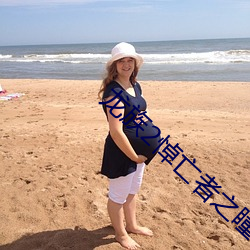 龙族2悼亡者之瞳 （打天下）
