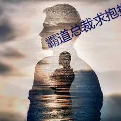 霸道总裁求抱抱 （私见）