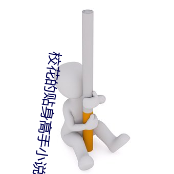 校花(花)的贴身高(高)手(手)小说(說)