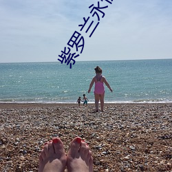 ezweb易利娱乐平台(唯一)官网登录入口