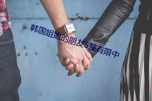 韩(韓)国(國)姐姐的朋(朋)友(友)5整有(有)限中