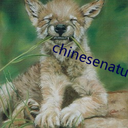 chinesenaturalstories