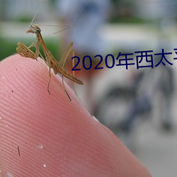 2020年西太平洋台風季