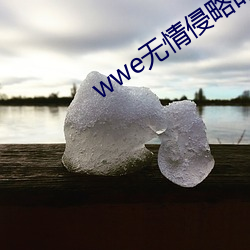 wwe无(無)情侵略时(時)代