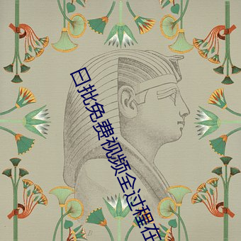 曰批免费视频全过程在线观