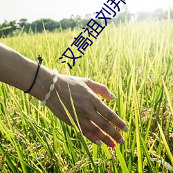 汉高祖刘邦儿子纪录片