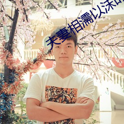夫妻相濡以沫的句子文案