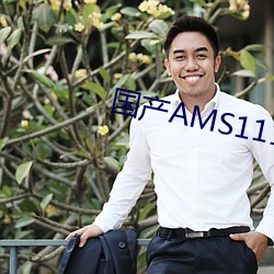 国产AMS1117