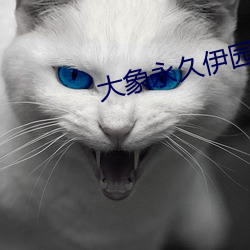 大象永久伊园甸2022一区区 （轶闻遗事）
