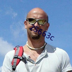 25663c