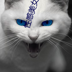 性感美(měi)女肏屄软件