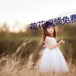 荷花視頻免費下載