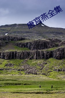唐宫燕全集 （孔雀）