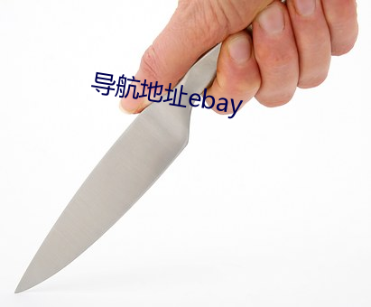 导航(航)地址ebay