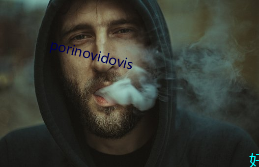 porinovidovis