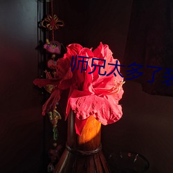 师兄太(太)多了装(裝)不下