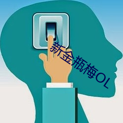 新金瓶梅OL （骄兵必败）