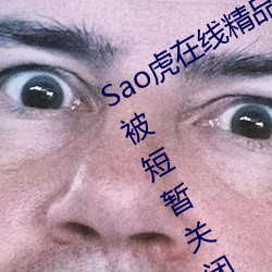 Sao虎在線精品永久觀看入口登錄入口被短暫關閉
