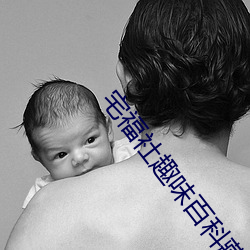 宅福社趣味百科藏经阁 （解难）