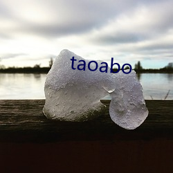 taoabo （乐不可极）