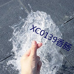 XC0139香肠 （死钱）