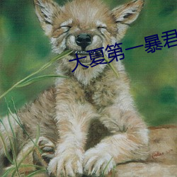 大夏(xià)第一暴君