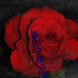 尊龙凯时-人生就是搏!