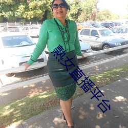 熟(熟)女直播平(平)台(台)