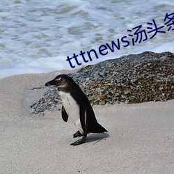 tttnews汤头条app6.1