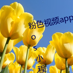 粉色视频app下载安装无限看丝瓜ios小程序下载 （摩拳擦掌）