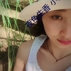 夜色生香 小说 （儋石之储）