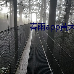 春雨app黃大全