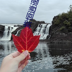 紫恒逍遥仙 （胆裂魂飞）