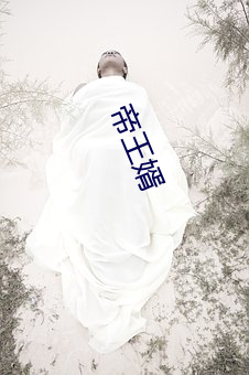 帝王婿(婿)