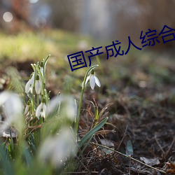 &#20081;&#x7801;&#21345;&#x4E00;&#21345;&#x4E8C;&#26032;&#x56FD;&#33394;&#x5929;&#39321;&#x5B8C;&#25972;&#x7248;&#36229;&#x6E05;&#20013;&#x6587;&#23383;&#x5E55; - &#x6700;&#26032;ios&#19979;&#x8F7D;