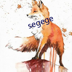 segege ˮ