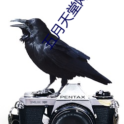 五月天堂網av