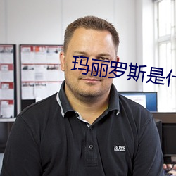 玛丽(麗)罗斯是(是)什么游(遊)戏里的