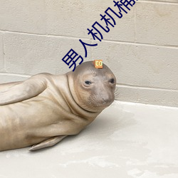 男人机机桶女人的视频 （疮痍满目）